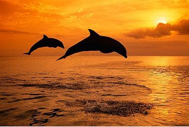 辞旧岁迎新车《极限竞速：地平线5》新春系列三更新