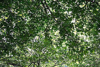 守护最后的人类少女《真空饲育箱2》DEMO发布